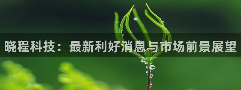 晓程科技：最新利好消息与市场前景展望