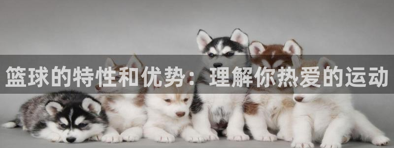 篮球的特性和优势：理解你热爱的运动