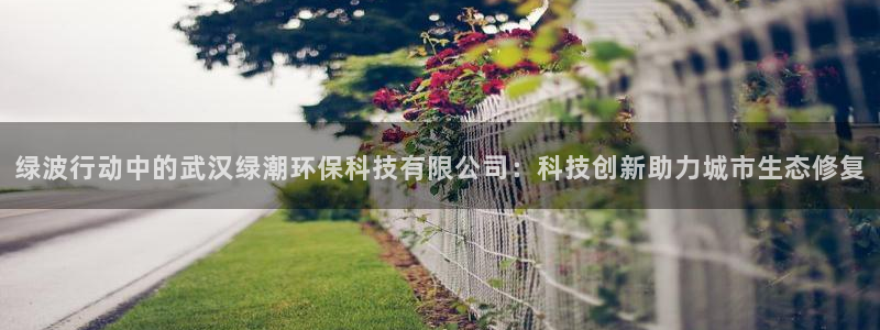 绿波行动中的武汉绿潮环保科技有限公司：科技创新助力城市生态修复